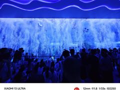 -石家庄极地海洋世界