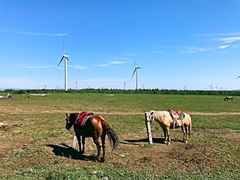 -塞罕坝国家级自然保护区