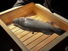 -子福慧(虹桥店)