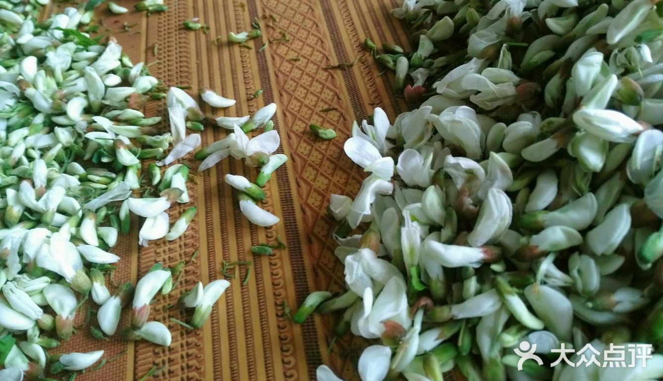 又是槐花 包饺子 蒸麦饭 反正农民卖的超新鲜啊