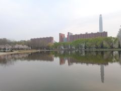 -泰丰公园