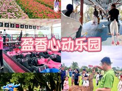 -盈香心动乐园