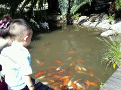 -苏州河梦清园环保主题公园