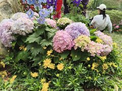 -人民公园(罗湖区)