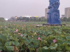 -海天湖公园