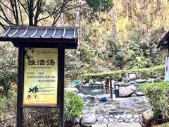 -明月山天沐温泉度假村