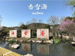 -香雪海