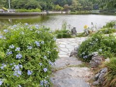-东莞植物园