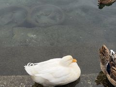 -水磨沟公园