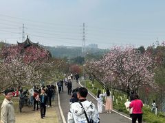-南山植物园