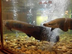 android_upload_pic-肇庆奥威斯酒店