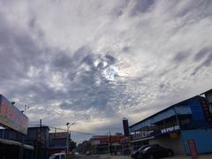 -沿海渔家院蒸汽海鲜·东北菜(东戴河店)
