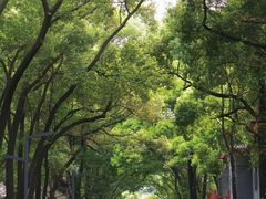 -四川大学(望江校区)