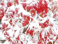 -庆岭迎宾园正宗活鱼馆