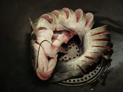 android_upload_pic-铁锅炖活鱼