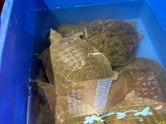 -状元甲·湖北甲鱼大王(汉口火车站店)