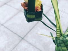 -南山植物园