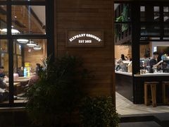 -Elephant Grounds(STARSTREET)