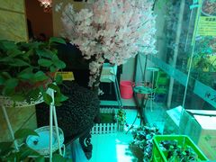 -清真·拉菲尔鱼庄·家常菜(钟楼回民街店)