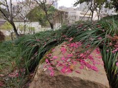 -乌山风景区