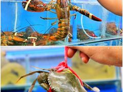 -白沙门生态公园