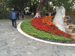 iphone_upload_pic-胡里山炮台