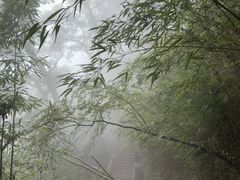 -少华山国家森林公园