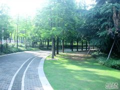 -苏州河梦清园环保主题公园