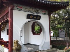 -南汇桃花村