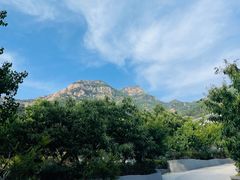 -泰山风景名胜区