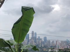 -悟饮门市景店