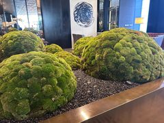 -广州文华东方酒店·悦铂尼西餐厅