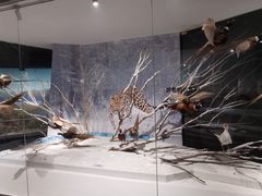 -武汉园博园(武汉自然博物馆)