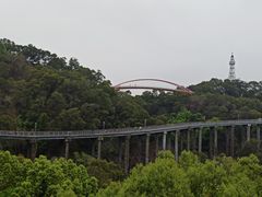 -金鸡山公园
