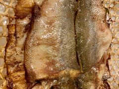 竹网鲈鱼-翠亭酒家(山西南路店)