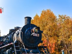 -长春市南湖公园