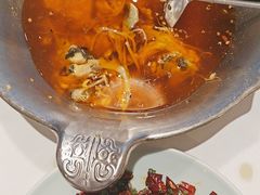 -沸腾鱼乡(知春路分店)