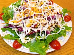 蔬菜芝士沙拉-食彩美印度特色美食餐厅·印度料理