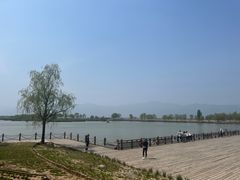 -野鸭湖国家湿地公园