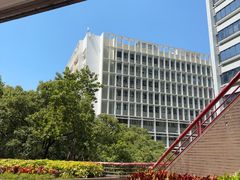 -香港大学