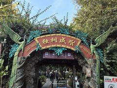 -瑞丽独树成林风景区