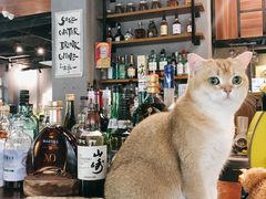 -咖法森林·咖啡  酒吧(天河店)