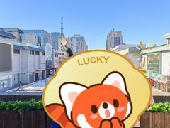 -迎宾楼(解放西街店)