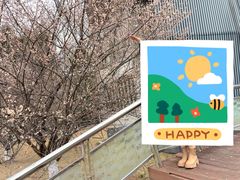 -国际非物质文化遗产博览园