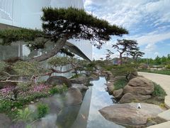 -罗红摄影艺术馆