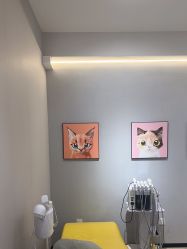 -洗脸猫·洗脸吧