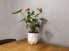 -川锅哎哟·麻辣香锅(国大城市广场店)