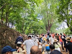 -红嫂家乡旅游区
