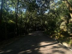 -中山市树木园