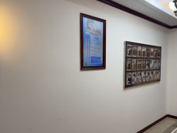 -南京医科大学友谊整形外科医院